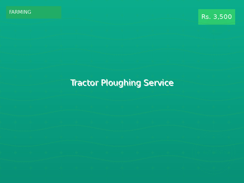 Tractor Ploughing Service