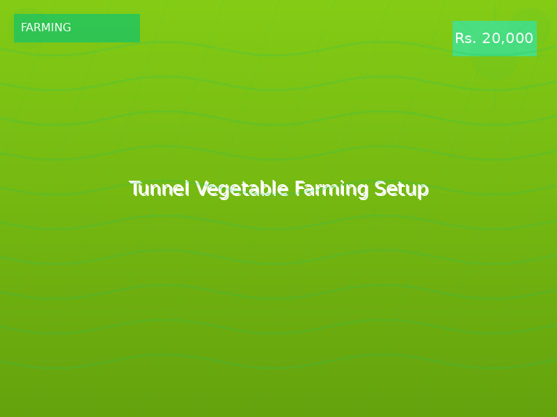 Tunnel Vegetable Farming Setup
