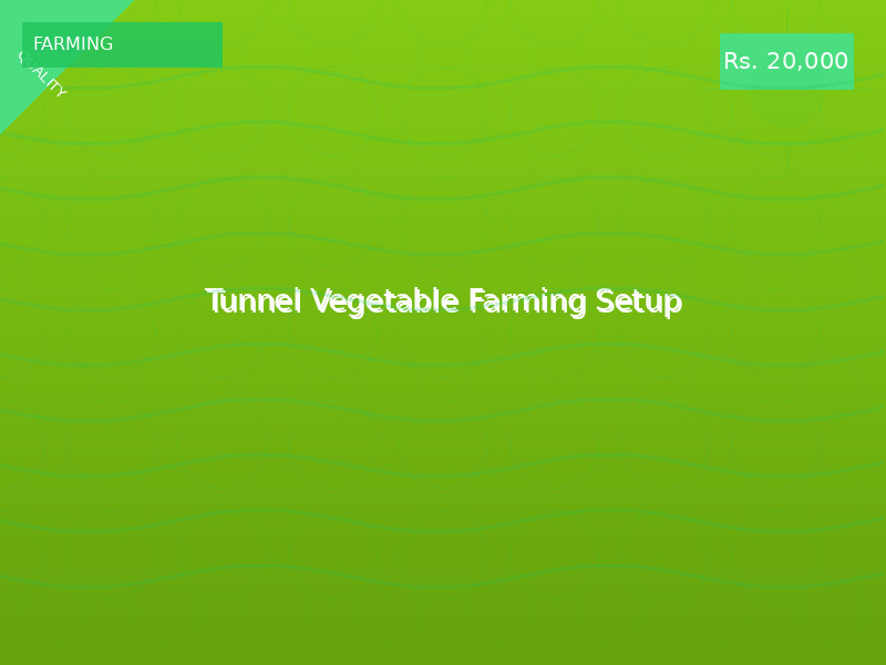 Tunnel Vegetable Farming Setup
