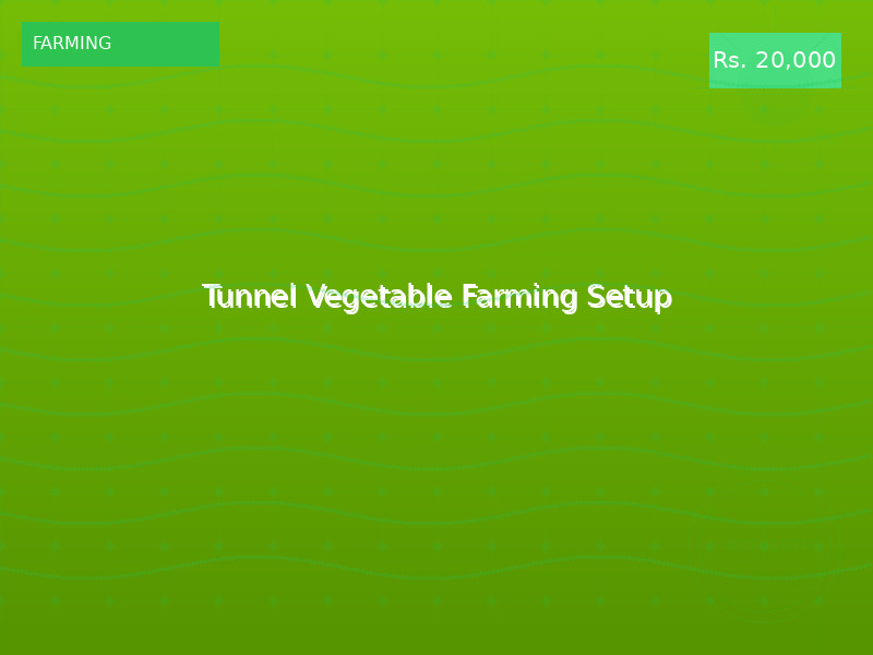 Tunnel Vegetable Farming Setup