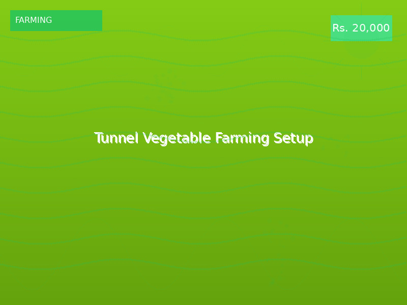Tunnel Vegetable Farming Setup