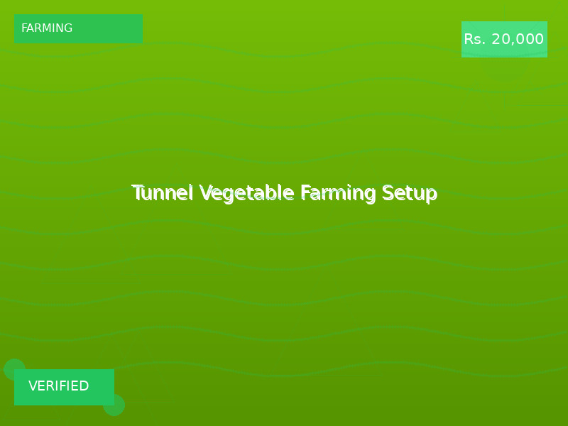 Tunnel Vegetable Farming Setup