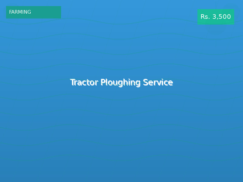 Tractor Ploughing Service