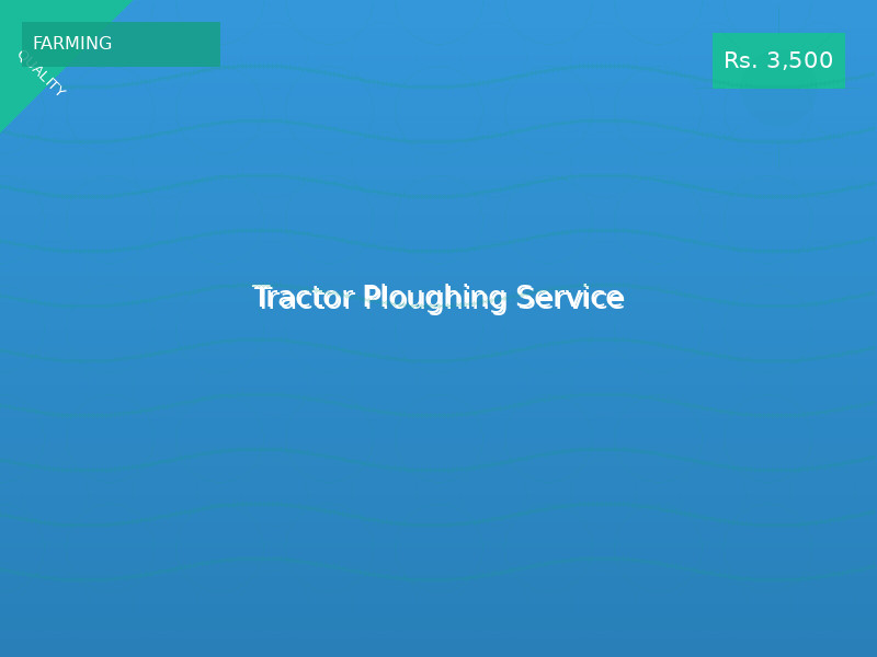 Tractor Ploughing Service