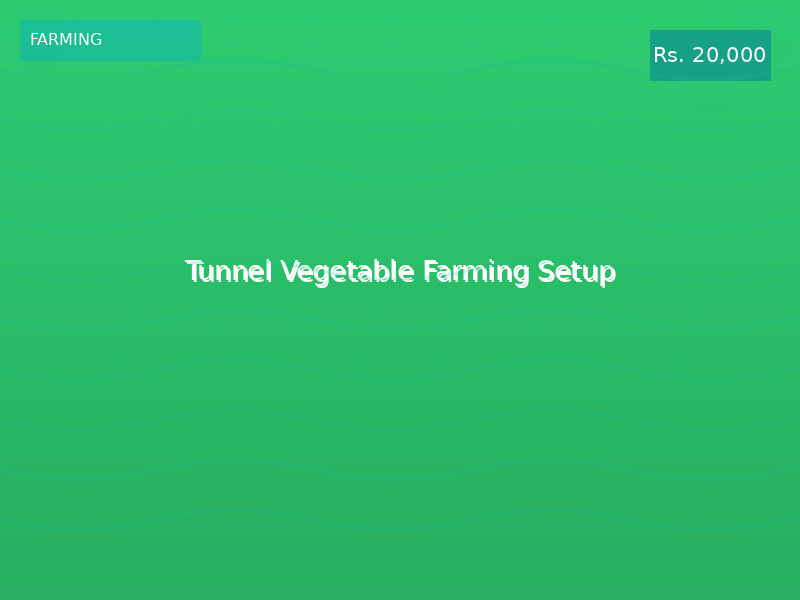 Tunnel Vegetable Farming Setup