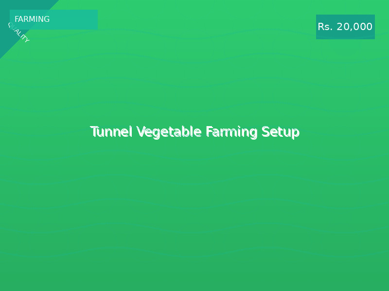 Tunnel Vegetable Farming Setup