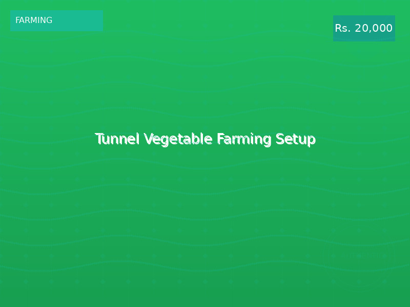 Tunnel Vegetable Farming Setup
