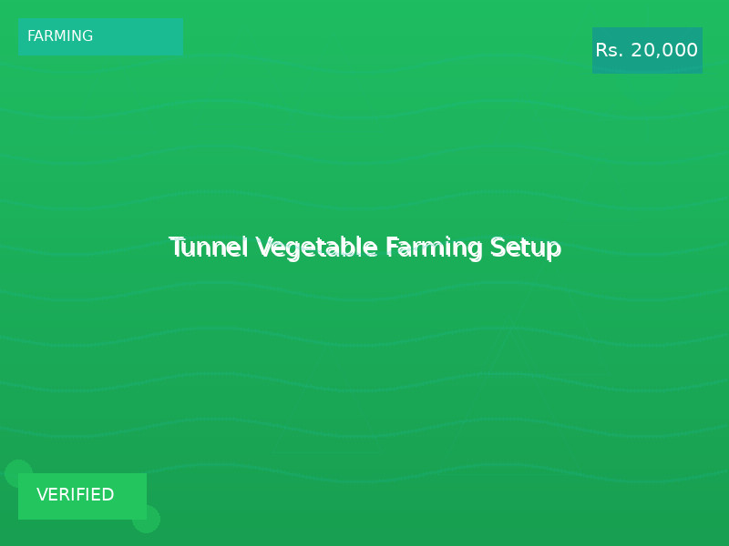 Tunnel Vegetable Farming Setup