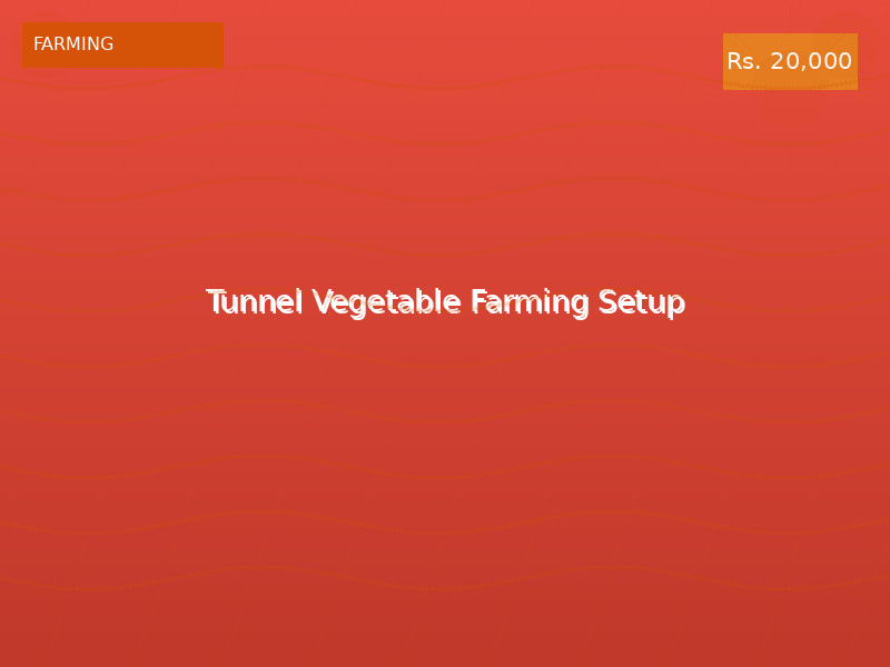 Tunnel Vegetable Farming Setup