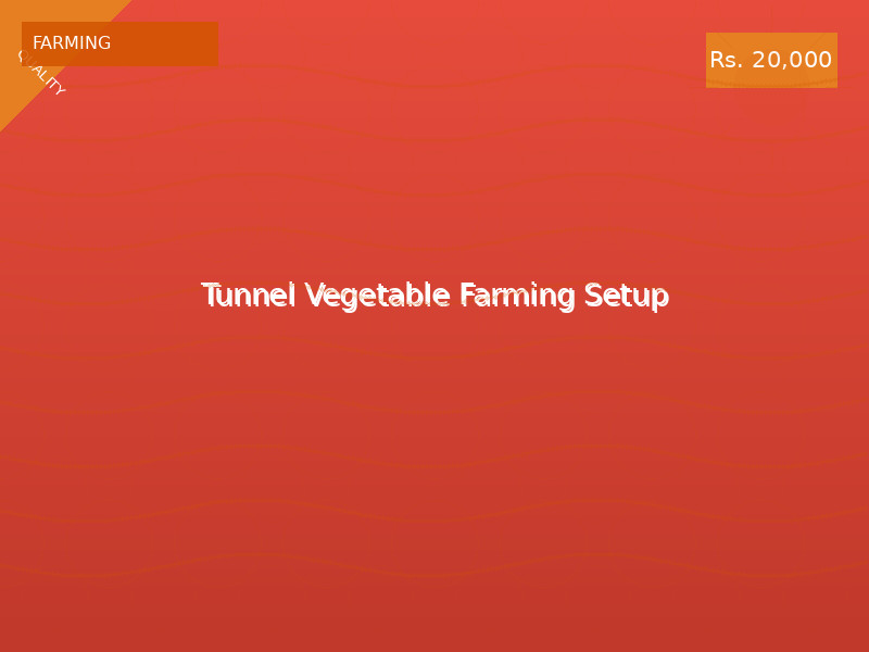 Tunnel Vegetable Farming Setup