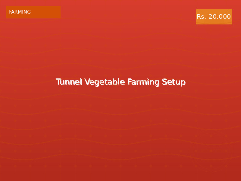 Tunnel Vegetable Farming Setup