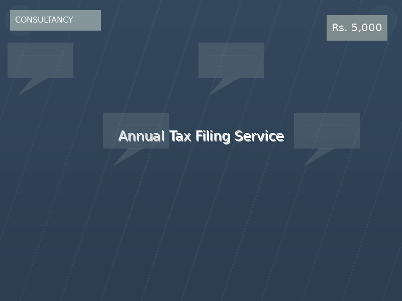 Annual Tax Filing Service