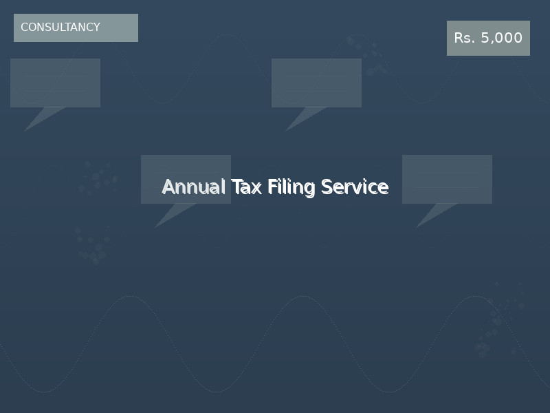 Annual Tax Filing Service