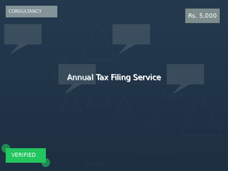 Annual Tax Filing Service