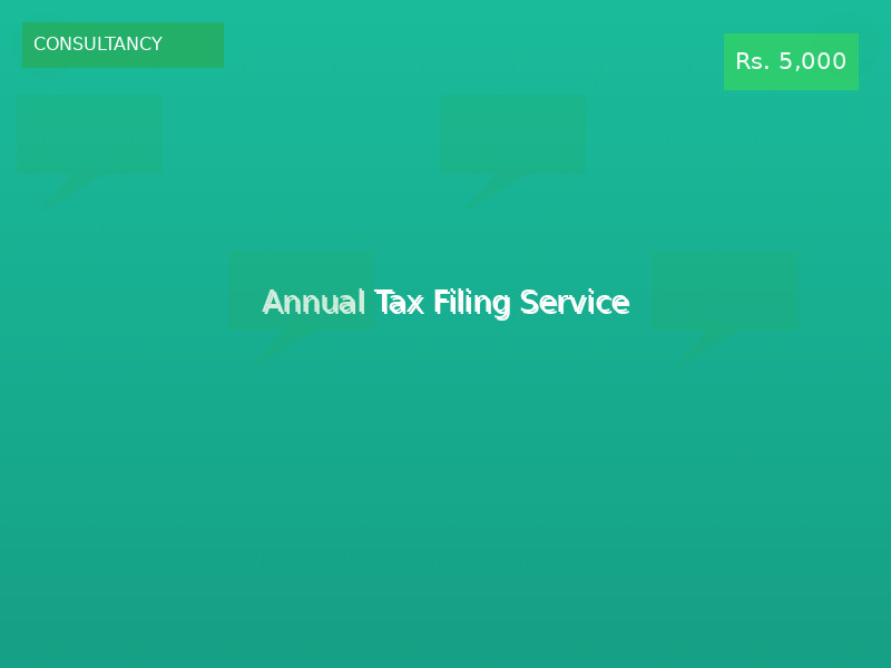 Annual Tax Filing Service