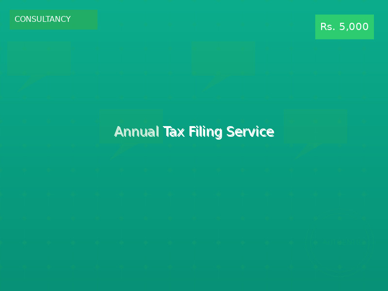 Annual Tax Filing Service