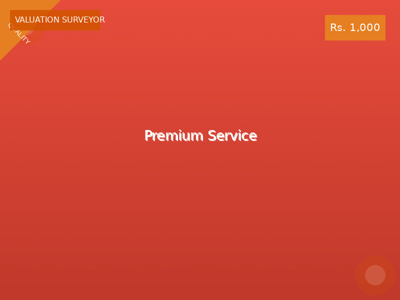 Premium Service