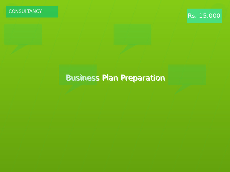 Business Plan Preparation