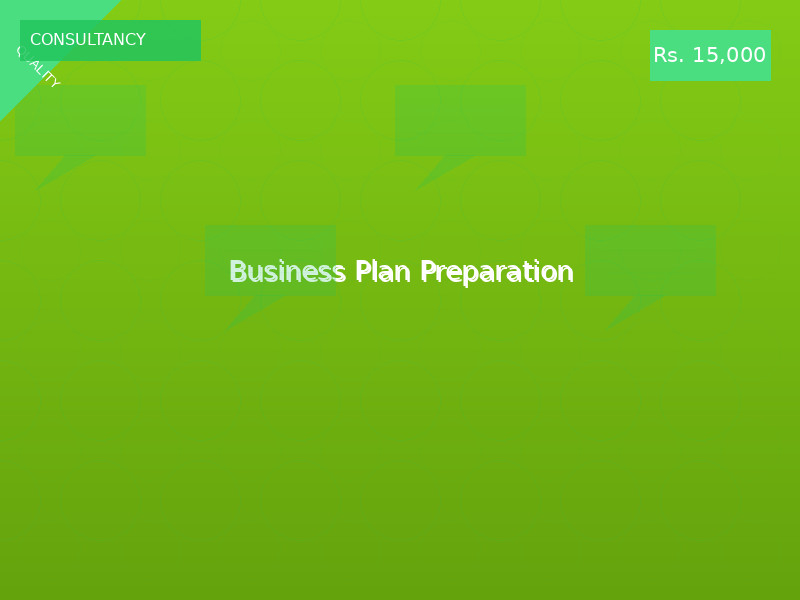 Business Plan Preparation