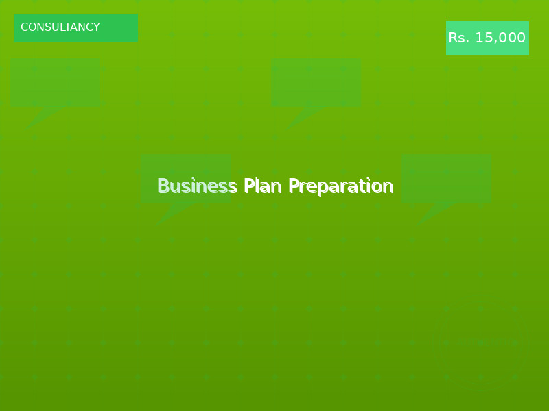 Business Plan Preparation