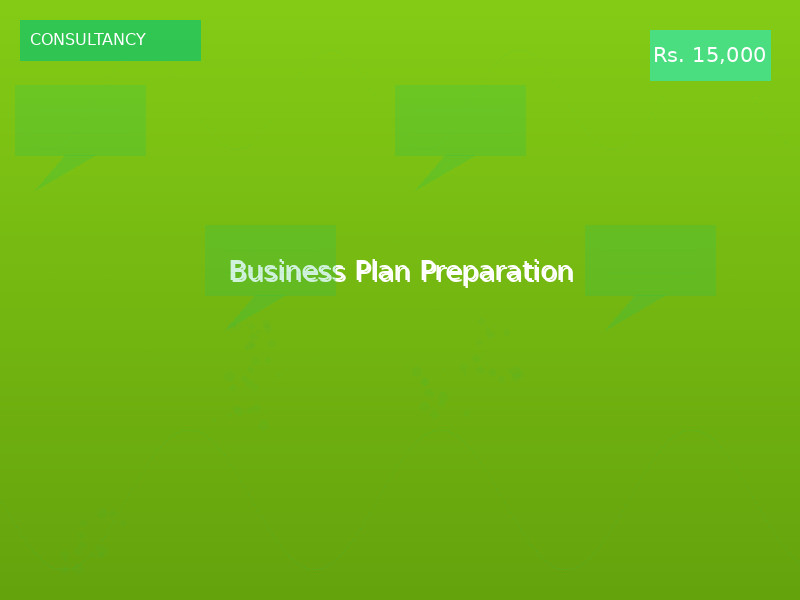 Business Plan Preparation