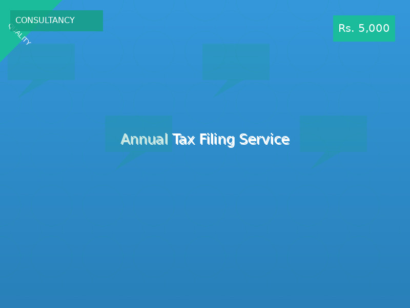 Annual Tax Filing Service