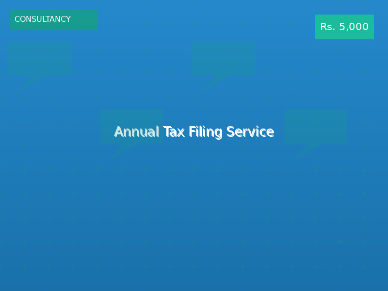 Annual Tax Filing Service
