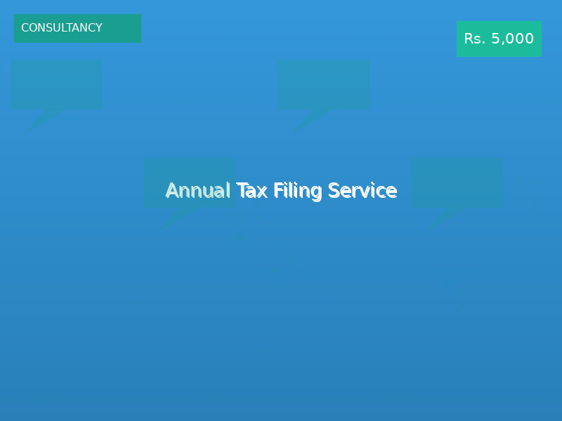 Annual Tax Filing Service