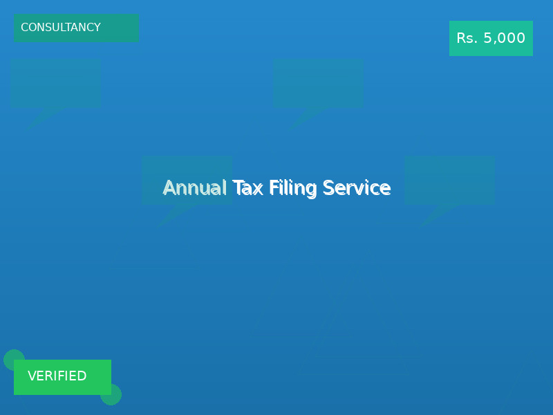 Annual Tax Filing Service