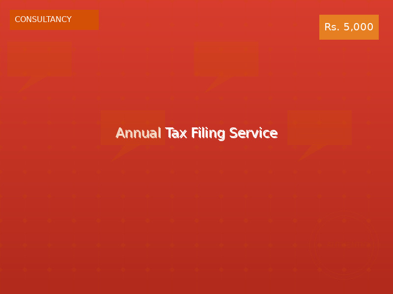 Annual Tax Filing Service