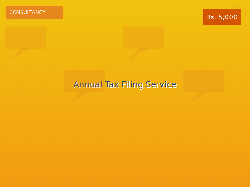 Annual Tax Filing Service
