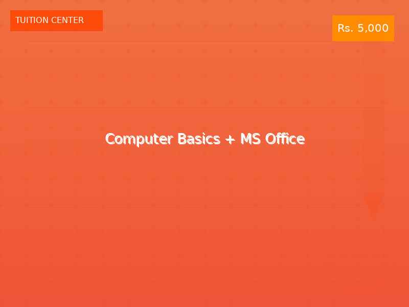 Computer Basics + MS Office