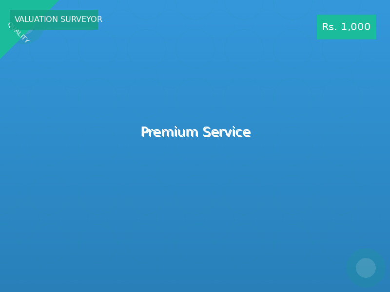 Premium Service