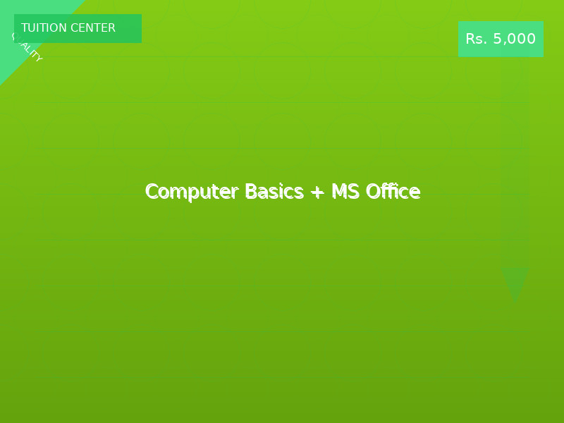Computer Basics + MS Office