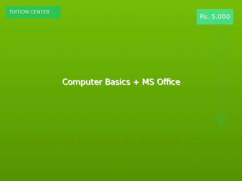 Computer Basics + MS Office