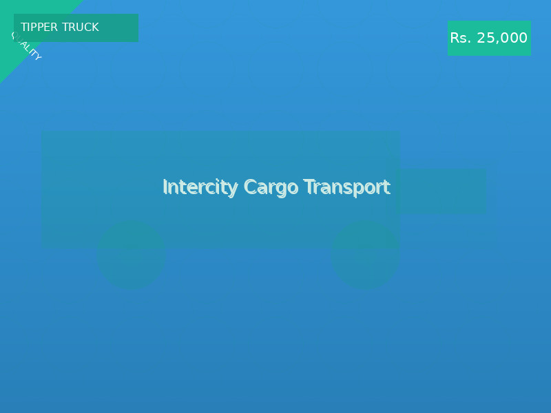 Intercity Cargo Transport