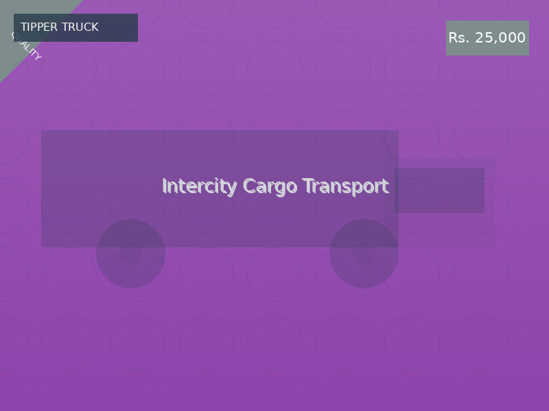 Intercity Cargo Transport