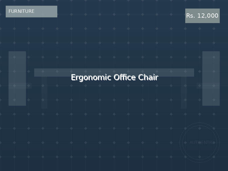 Ergonomic Office Chair