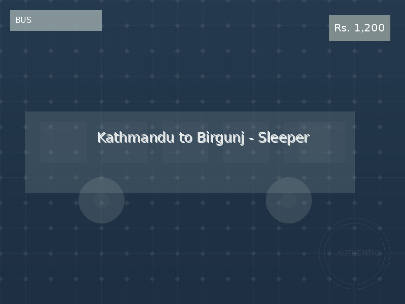 Kathmandu to Birgunj - Sleeper