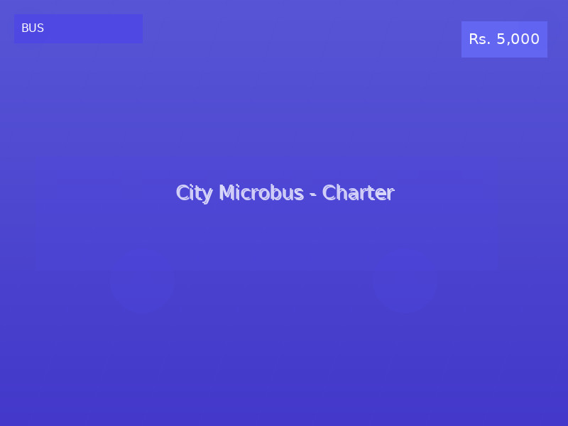 City Microbus - Charter