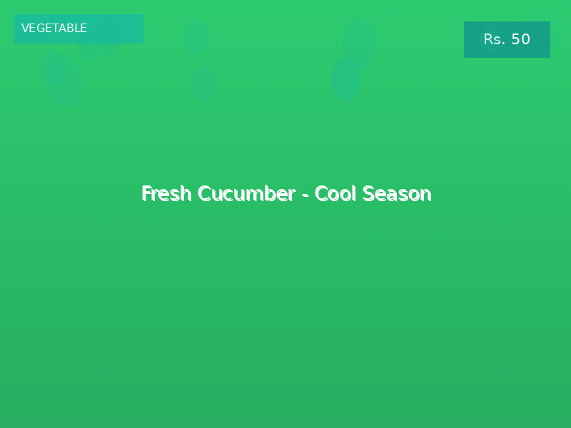 Fresh Cucumber - Cool Season