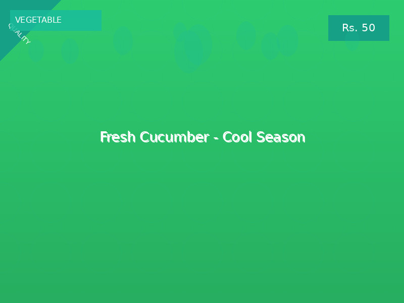 Fresh Cucumber - Cool Season