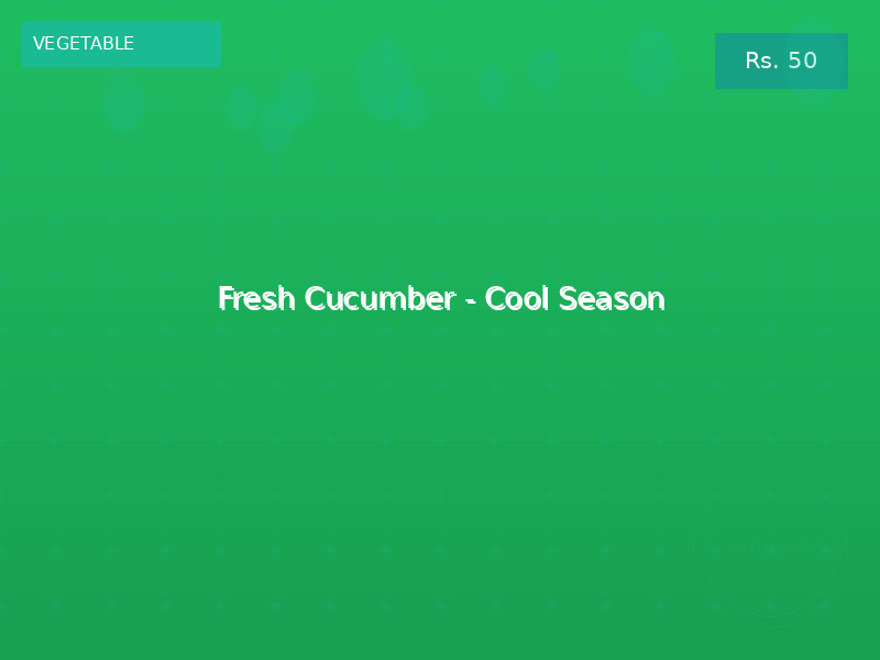 Fresh Cucumber - Cool Season