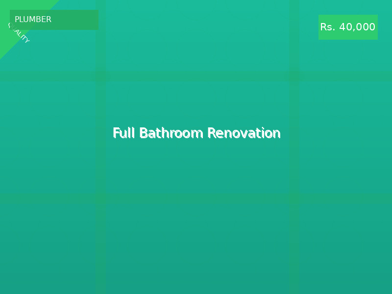 Full Bathroom Renovation