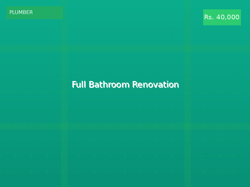 Full Bathroom Renovation