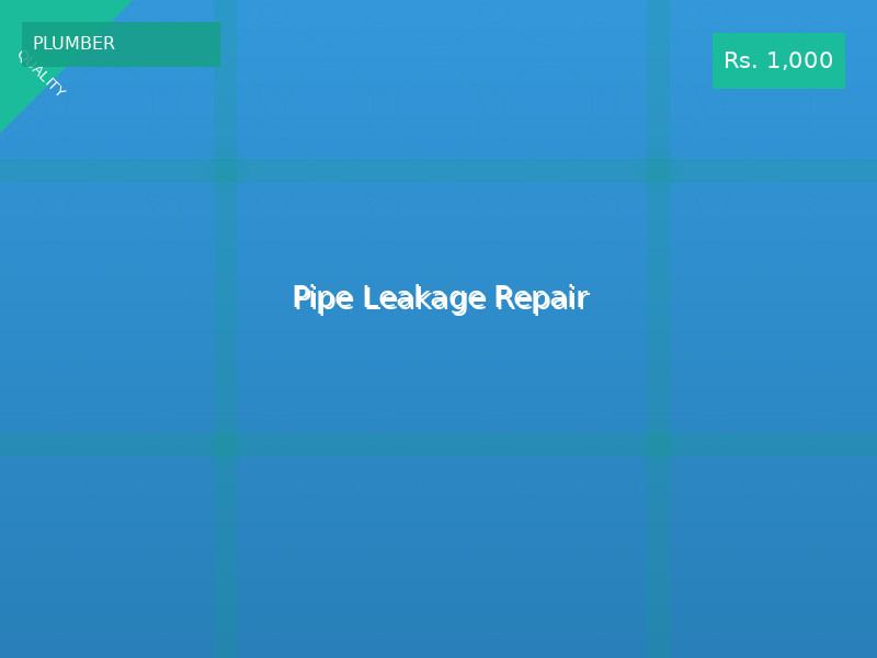 Pipe Leakage Repair