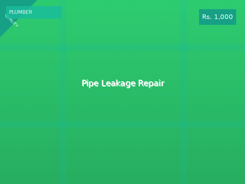 Pipe Leakage Repair