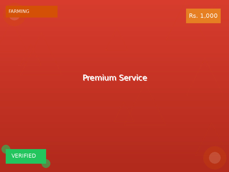 Premium Service