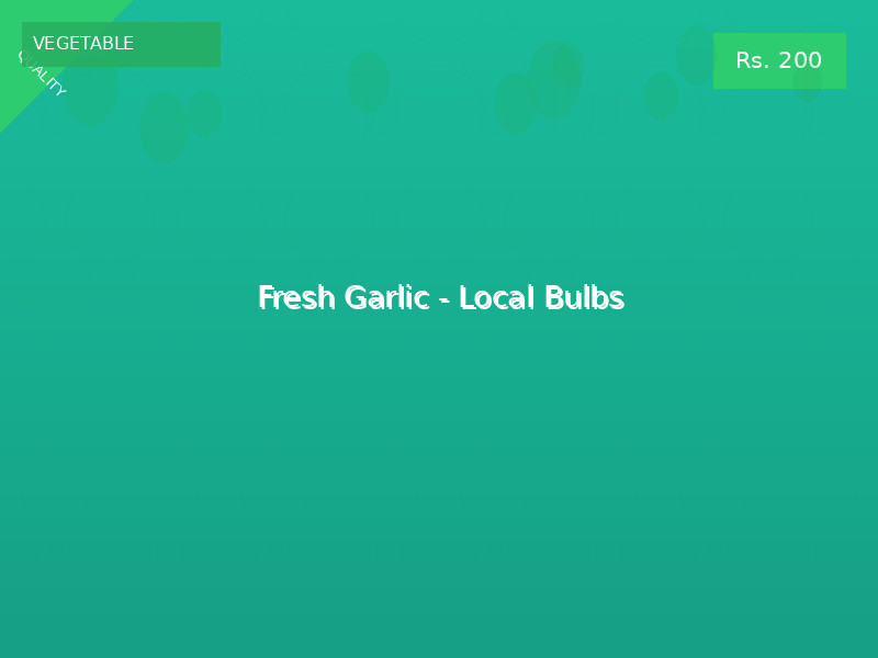 Fresh Garlic - Local Bulbs