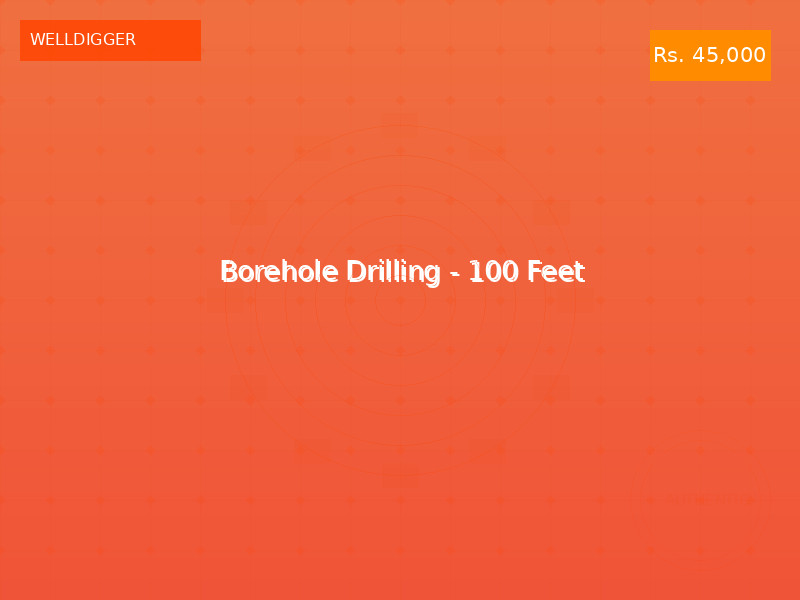 Borehole Drilling - 100 Feet